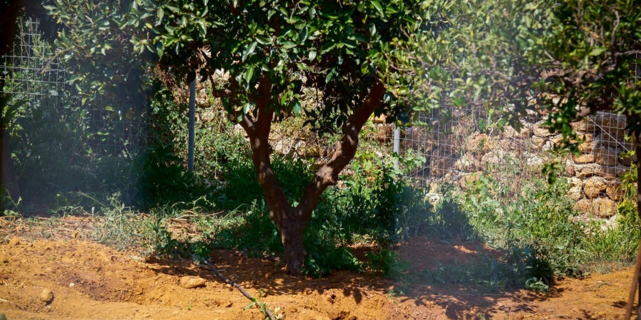 Δεμένη και φιμωμένη βρέθηκε η σορός της άτυχης 45χρονης