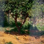 Δεμένη και φιμωμένη βρέθηκε η σορός της άτυχης 45χρονης