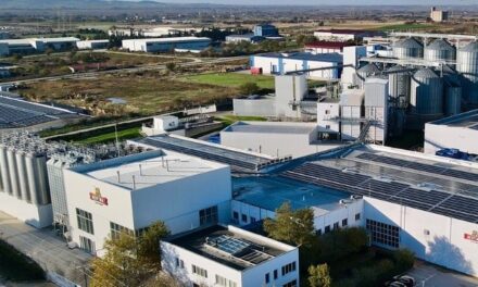 Απορρίφθηκε η έφεση της Heineken σε υπόθεση αποζημιώσεων για παραβίαση του ανταγωνισμού στην ελληνική αγορά μπύρας