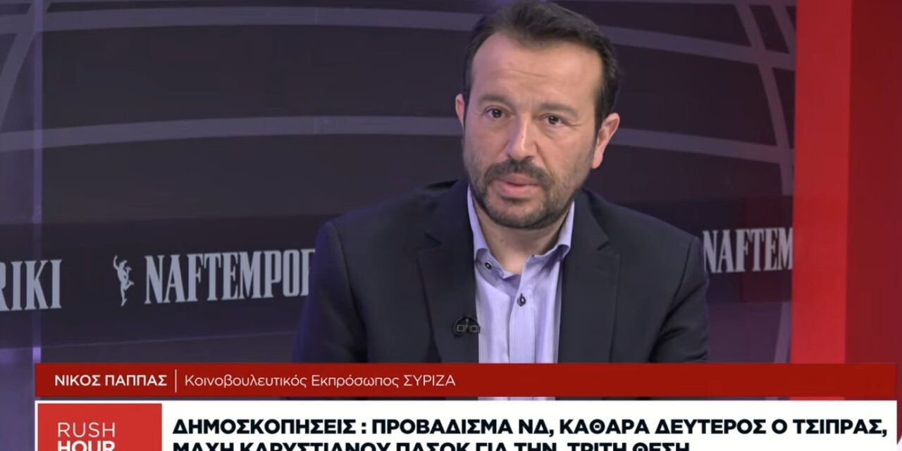 Nίκος Παππάς στo Naftemporiki TV: Ελπίζω να μην βγουν βουλευτικές έδρες σε πλειστηριασμό