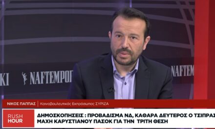 Nίκος Παππάς στo Naftemporiki TV: Ελπίζω να μην βγουν βουλευτικές έδρες σε πλειστηριασμό