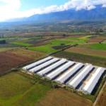 «Βλέπει» νέο ρεκόρ πωλήσεων για το 2026 με πρόβλεψη για 260 εκατ.