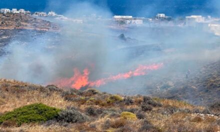 Οριοθετήθηκε η πυρκαγιά στην Αμπέλα