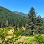 Υπό έλεγχο η πυρκαγιά στη θέση «Αβγό», στη Βάλια Κάλντα