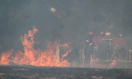 Βάρδα Ηλείας: Σε ύφεση η φωτιά – Κανένα ενεργό μέτωπο