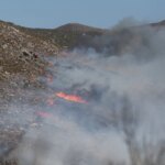 Φωτιά σε δασική έκταση στη Φαλαισία Αρκαδίας