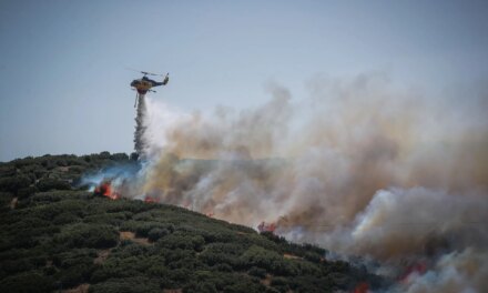 Φωτιά τώρα στην Πυλαία Θεσσαλονίκης