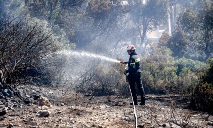 Βελτιωμένη εικόνα της φωτιάς στην περιοχή Φλόκα