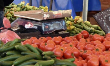 Τι ισχύει για την ψηφιακή έκδοση παραστατικών διακίνησης αποθεμάτων αγροτικών προϊόντων