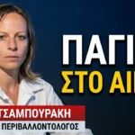 «Παραδώσαμε τα κλειδιά του Αιγαίου στην Τουρκία»; Ελπίδα Τσαμπουράκη