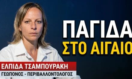 «Παραδώσαμε τα κλειδιά του Αιγαίου στην Τουρκία»; Ελπίδα Τσαμπουράκη