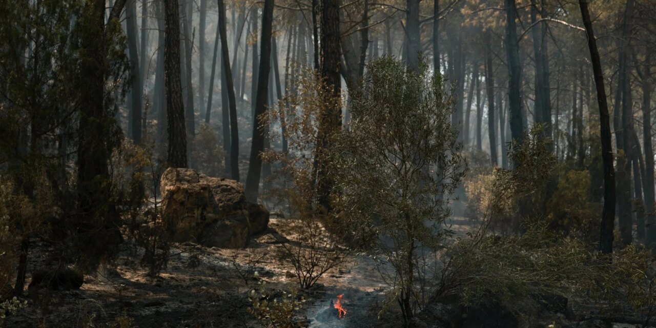 Αίρεται η εντολή εκκένωσης για όλες τις κοινότητες της Άβιλα και για άλλες δύο στη Μαδρίτη
