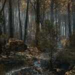 Αίρεται η εντολή εκκένωσης για όλες τις κοινότητες της Άβιλα και για άλλες δύο στη Μαδρίτη
