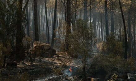 Αίρεται η εντολή εκκένωσης για όλες τις κοινότητες της Άβιλα και για άλλες δύο στη Μαδρίτη