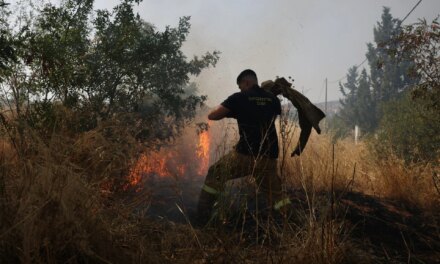 Υπό έλεγχο οι πυρκαγιές σε Πυλαία και Μονόλοφο