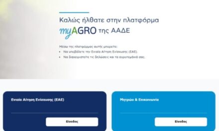 myAGRO: Σε λειτουργία η πλατφόρμα – Νωρίτερα οι προκαταβολές για αιτήσεις έως 15 Σεπτεμβρίου – Όσα είπε στο ΕΡΤnews Radio 105,8 ο Διοικητής της ΑΑΔΕ