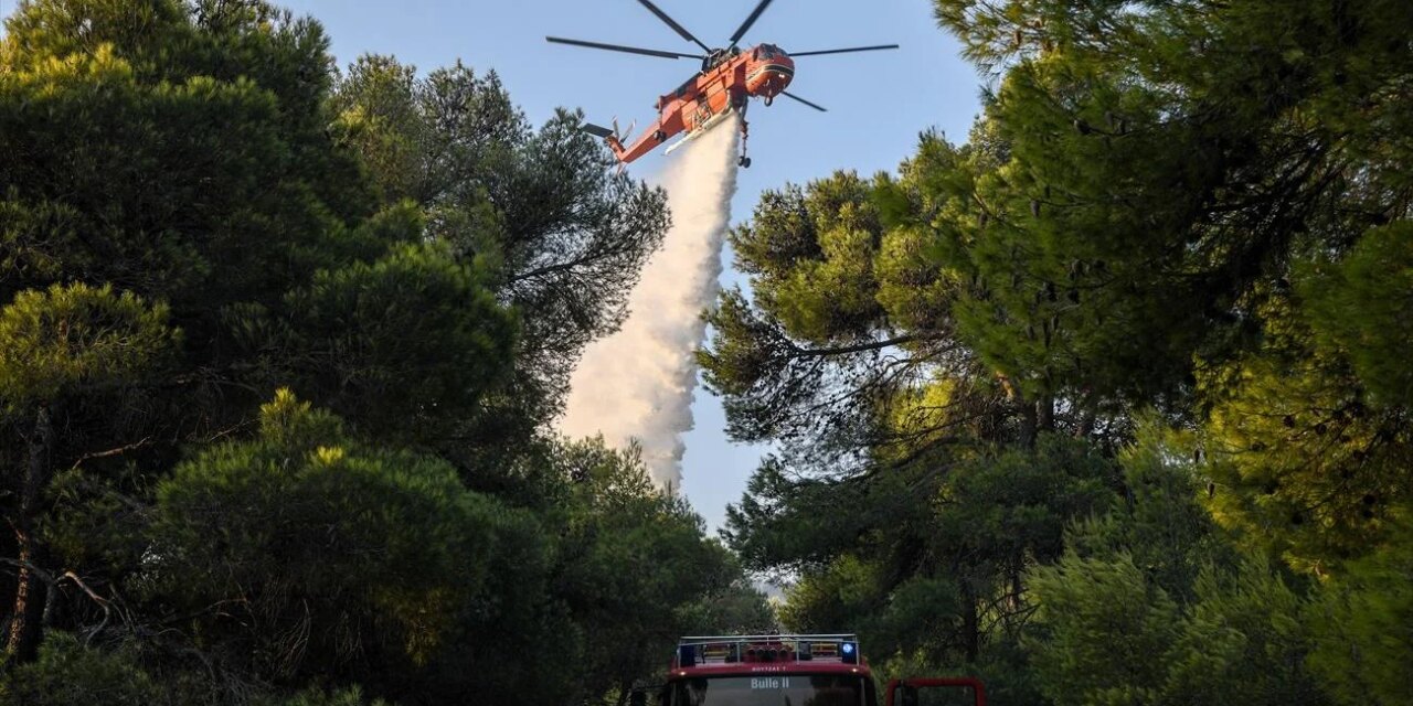 Φωτιά τώρα στη Βάρδα Ηλείας
