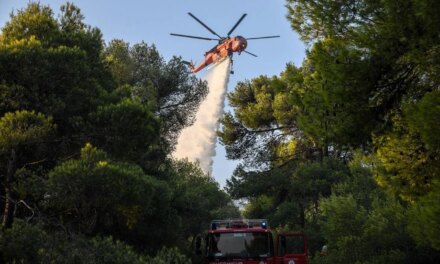 Φωτιά τώρα στη Βάρδα Ηλείας