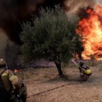 Φωτιά τώρα στην Πύλο Μεσσηνίας