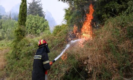 Οριοθετήθηκε άμεσα και η δεύτερη πυρκαγιά