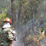 Οριοθετήθηκε άμεσα η πυρκαγιά στο Ελληνοχώρι Κορινθίας
