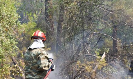 Οριοθετήθηκε άμεσα η πυρκαγιά στο Ελληνοχώρι Κορινθίας