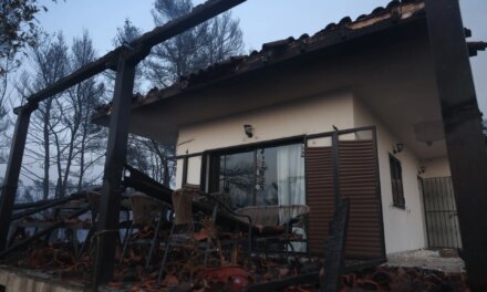 Φωτιά στη Σίβηρη: Ελεύθεροι δύο εργολάβοι του ΔΕΔΔΗΕ που παρουσιάστηκαν αυτοβούλως