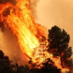 Διευκρινίσεις Πυροσβεστικής για το σημείο μηδέν της πυρκαγιάς στη Βοιωτία: Δεν ξεκίνησε από τις ανεμογεννήτριες