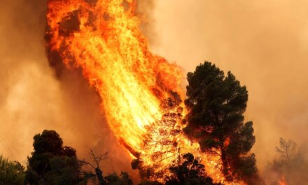 Διευκρινίσεις Πυροσβεστικής για το σημείο μηδέν της πυρκαγιάς στη Βοιωτία: Δεν ξεκίνησε από τις ανεμογεννήτριες