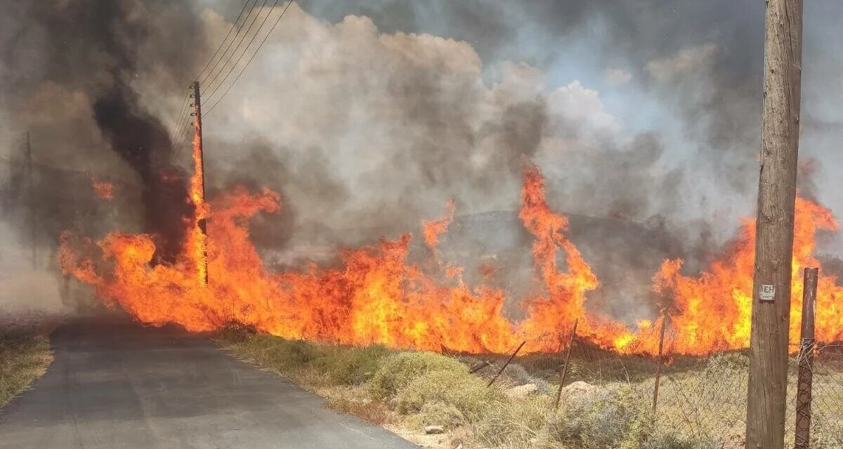 Φωτιά τώρα στη Νέα Τένεδο Χαλκιδικής