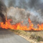 Φωτιά τώρα στη Νέα Τένεδο Χαλκιδικής