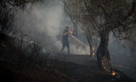 LIVE: Νέα φωτιά στην Αχαΐα