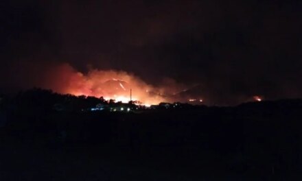 33 συλλήψεις από 29 Ιουλίου ως 2 Αυγούστου