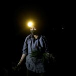 Νυχτοβάτες στα χωράφια – Μια ολόκληρη βιομηχανία μεταφέρεται στο σκοτάδι