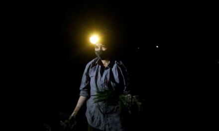 Νυχτοβάτες στα χωράφια – Μια ολόκληρη βιομηχανία μεταφέρεται στο σκοτάδι