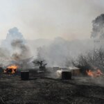 Σίβηρη Χαλκιδικής: «Δεν ξέφυγε» τη νύχτα η φωτιά