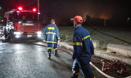 Πυρκαγιά σε χαμηλή βλάστηση στις Αλυκές Βόλου