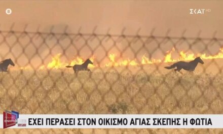 Σώθηκαν τα άλογα που έτρεχαν για να ξεφύγουν από τις φλόγες (βίντεο)