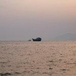 Δεξαμενόπλοιο ανέφερε δύο εκρήξεις κοντά στα Στενά
