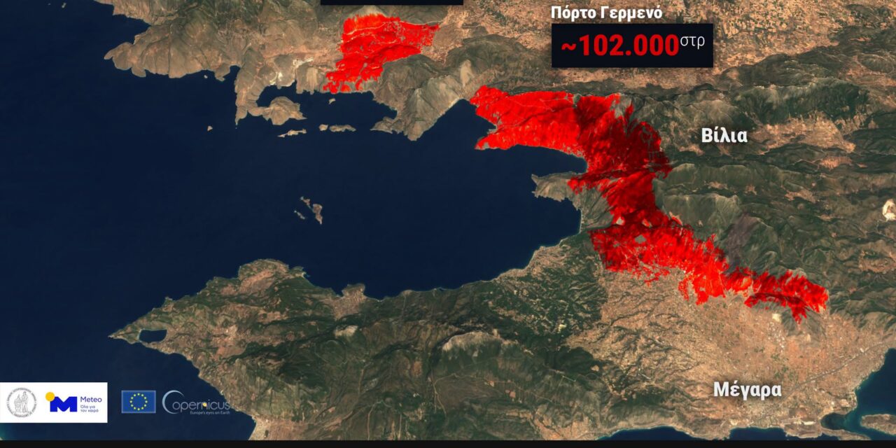 Περισσότερα από 130.000 στρέμματα καμένα σε Αττική και Βοιωτία