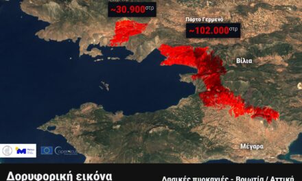 Περισσότερα από 130.000 στρέμματα καμένα σε Αττική και Βοιωτία