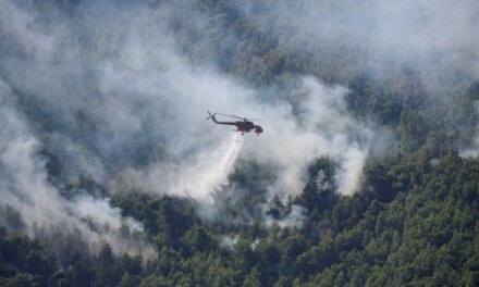 Μέτρα στήριξης οικογενειών θυμάτων και λοιπών πληγέντων από τις πρόσφατες πυρκαγιές