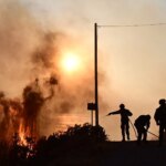 Από κολόνες του ΔΕΔΔΗΕ φέρεται να ξεκίνησε η φωτιά