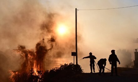 Από κολόνες του ΔΕΔΔΗΕ φέρεται να ξεκίνησε η φωτιά