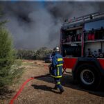 Φωτιά τώρα σε χαμηλή βλάστηση στην Χαλκίδα