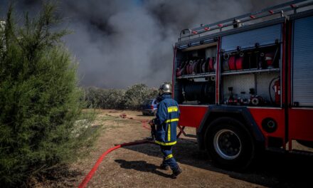 Φωτιά τώρα σε χαμηλή βλάστηση στην Χαλκίδα