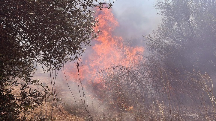 Χαλκιδική: Πολύ μεγάλη φωτιά σε εξέλιξη