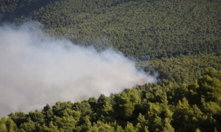 Πυρκαγιές: Ο καπνός από την Ελλάδα διένυσε πάνω από 750 χιλιόμετρα – Έφτασε στη Βόρεια Αφρική
