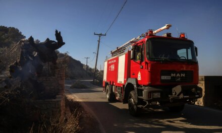 Φωκίδα: Φωτιά τώρα σε δασική έκταση στην περιοχή Σκάλωμα