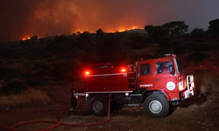 Φωτιά στον Αετό Καρύστου:  «Το ενεργό μέτωπο έχει περιοριστεί», δήλωσε ο αντιπεριφερειάρχης Ευβοίας